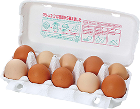 モウルドパック