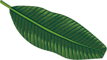 バナナ葉イラスト