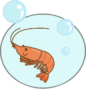 エコシュリンプイラスト