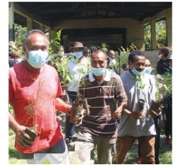 クリスマスカンパ東ティモールの写真