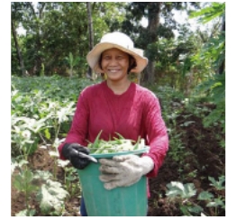 クリスマスカンパフィリピンの写真