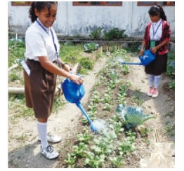 クリスマスカンパ東ティモールの写真