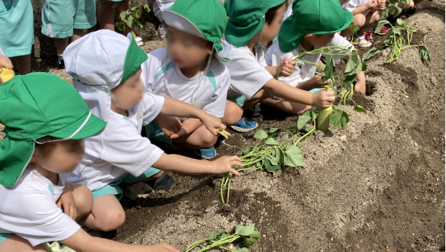 食育の様子
